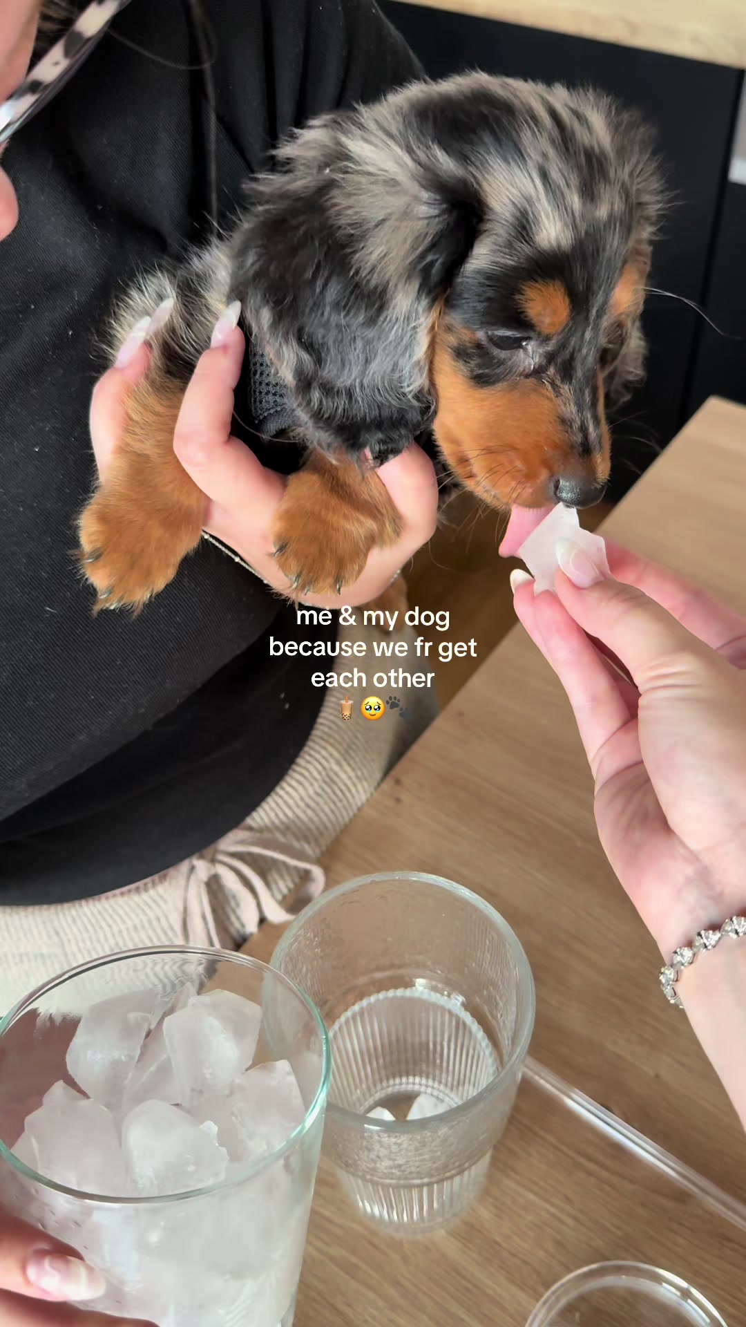 @Lio&Lou I Dachshund