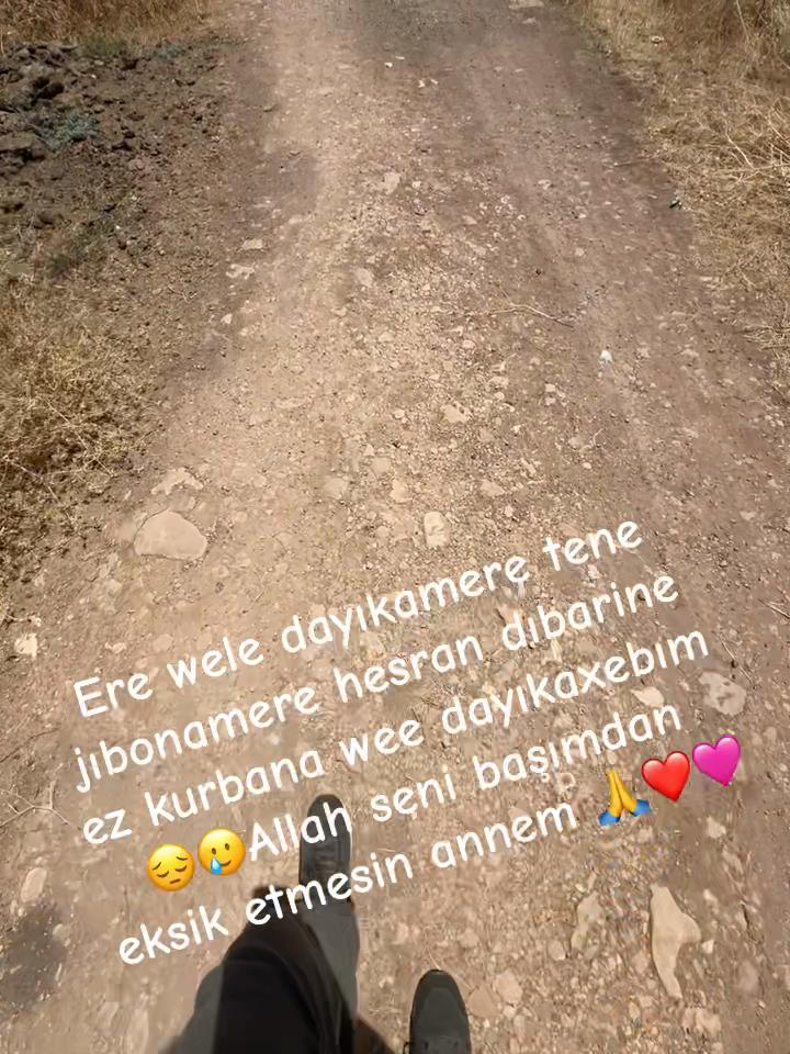 @Mesut Ergül