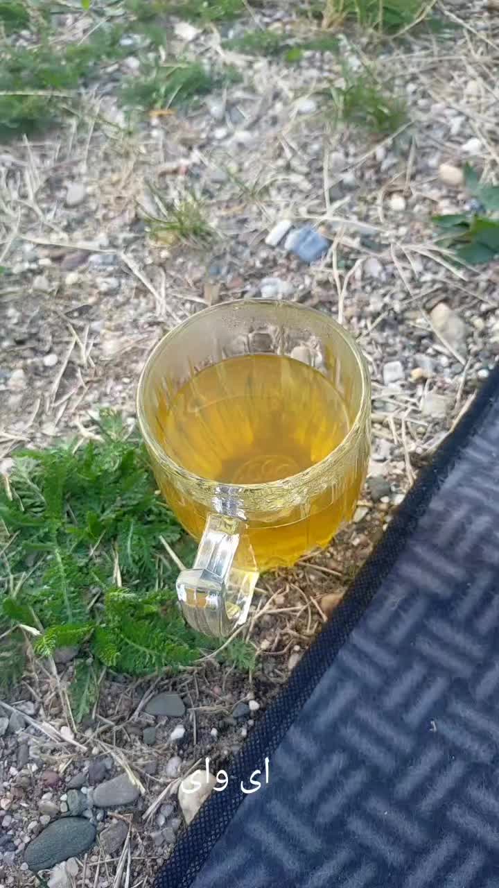 @انسان بودن آروزوست