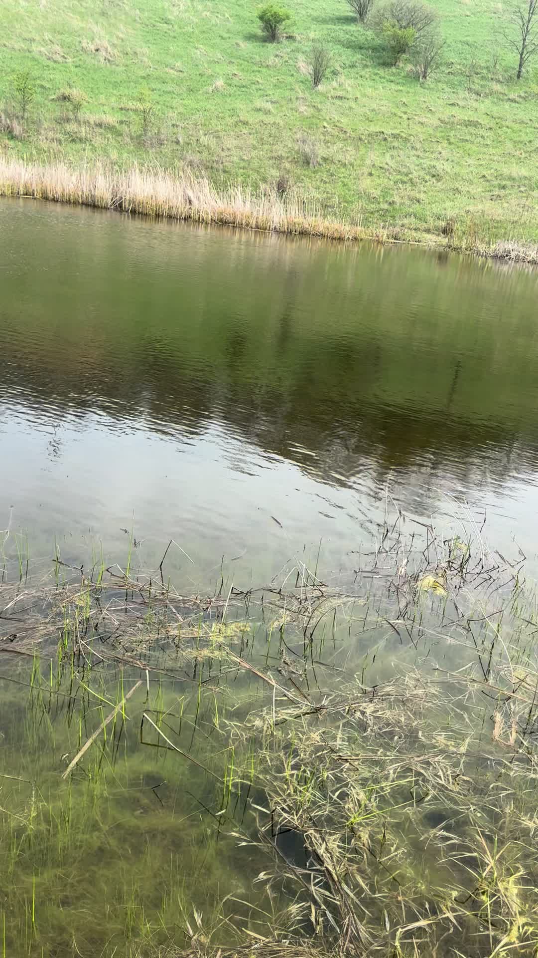 @chippersbaits (CTS OG)