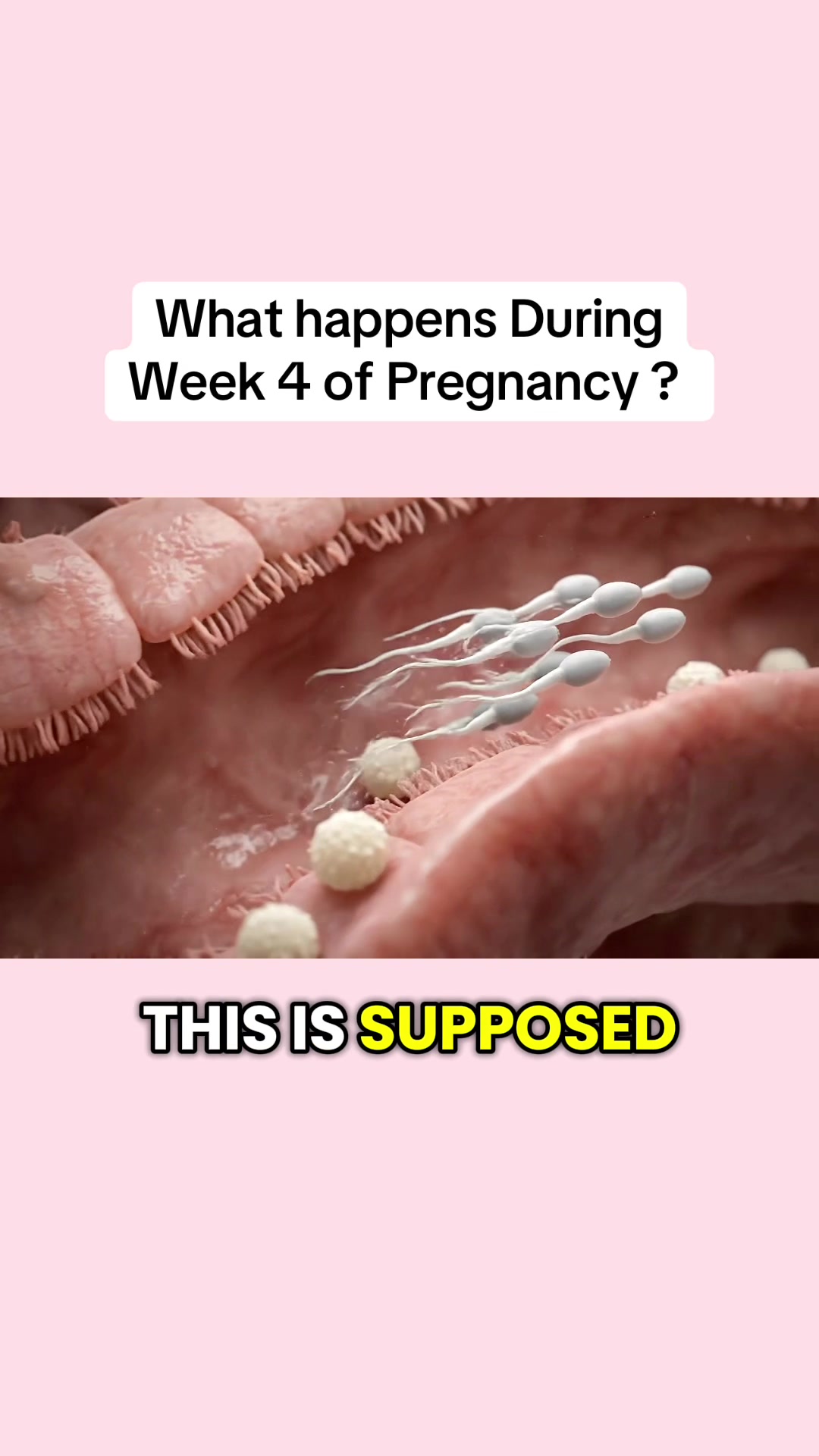 @smartdoctor