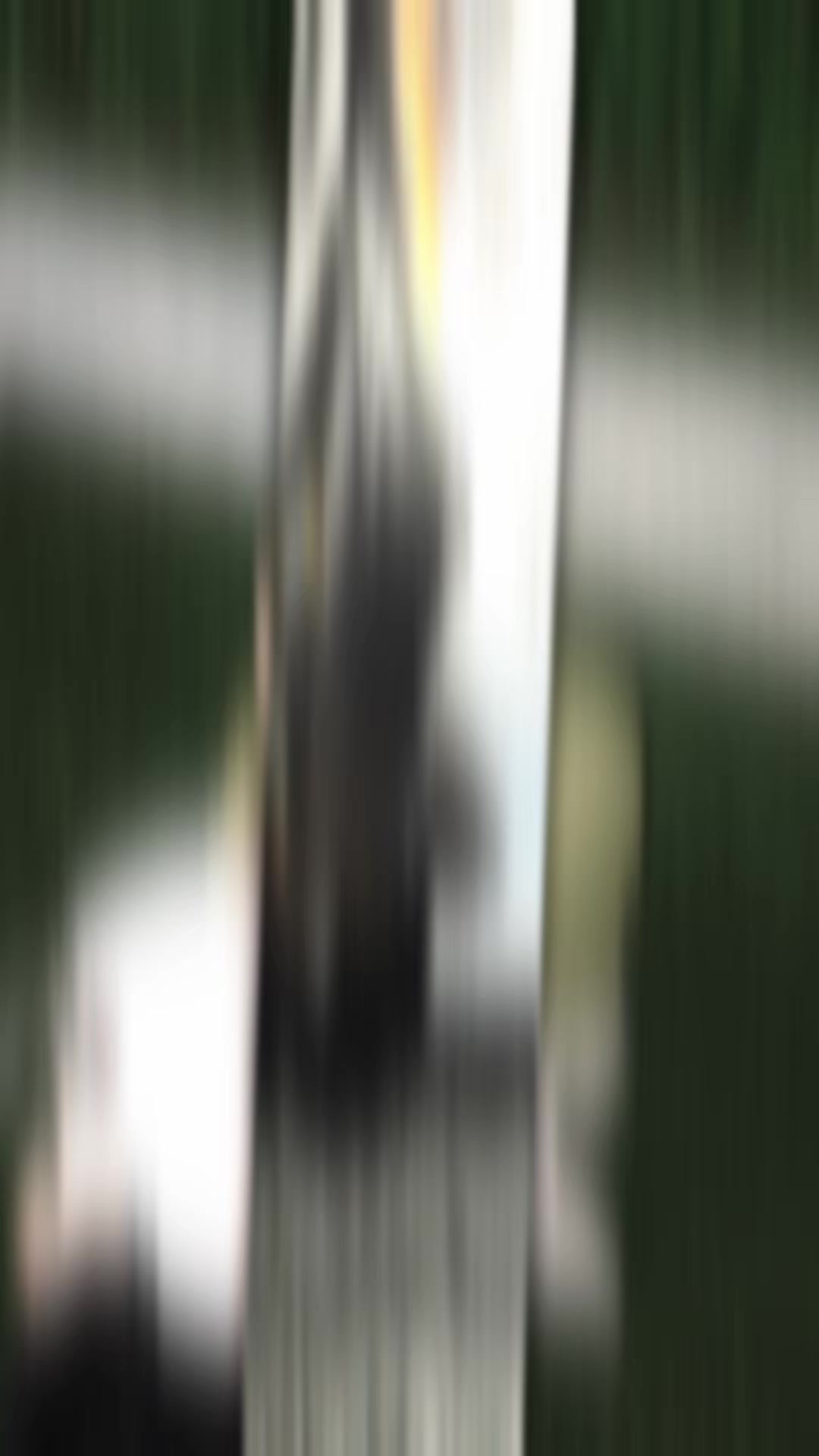 @﮼عائشة | 𝓐𝓲𝓼𝔂𝓪𝓱