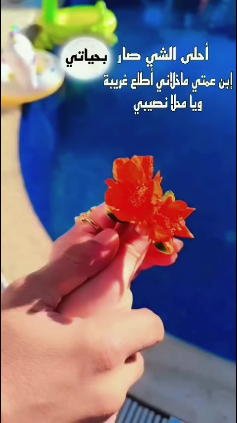 @☆𝑵𝒆𝒔𝒓𝒊𝒏𝒆☆
