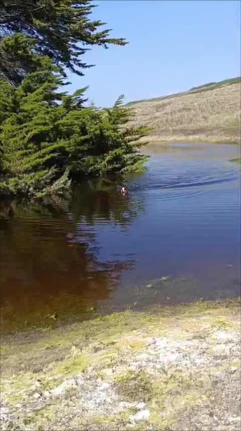 @Chloe Jacob
