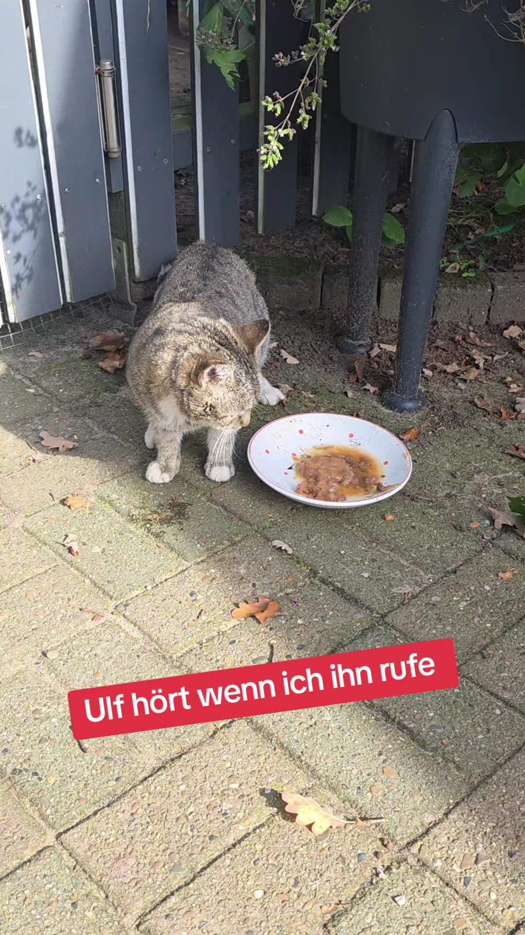 @Janine&Schatzi die echten