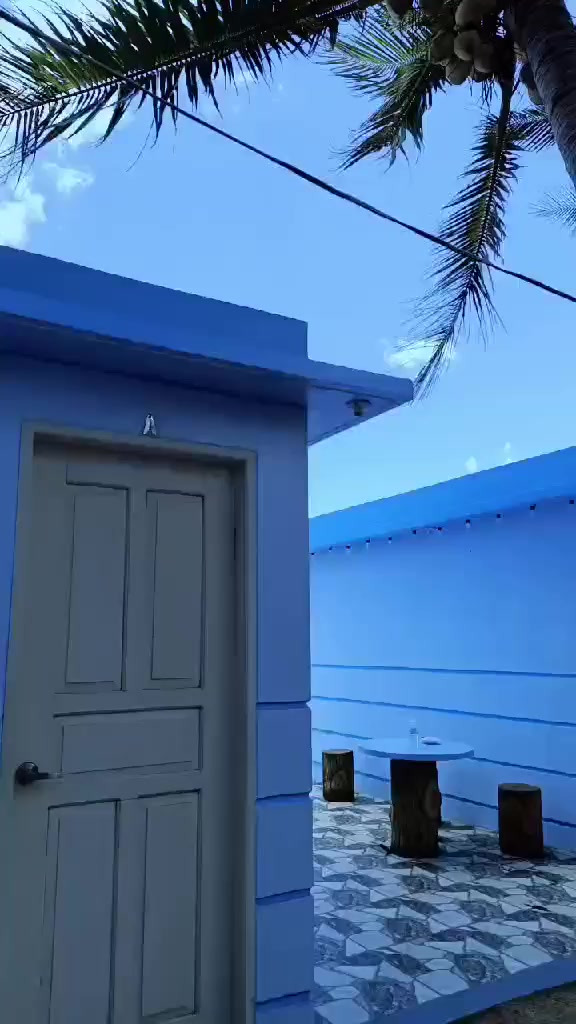 @Ocel 🦋🦂
