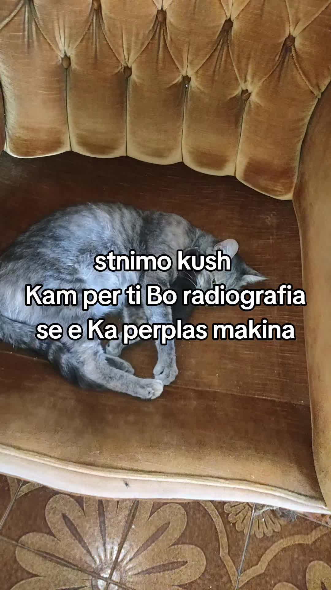 @Keberoma8