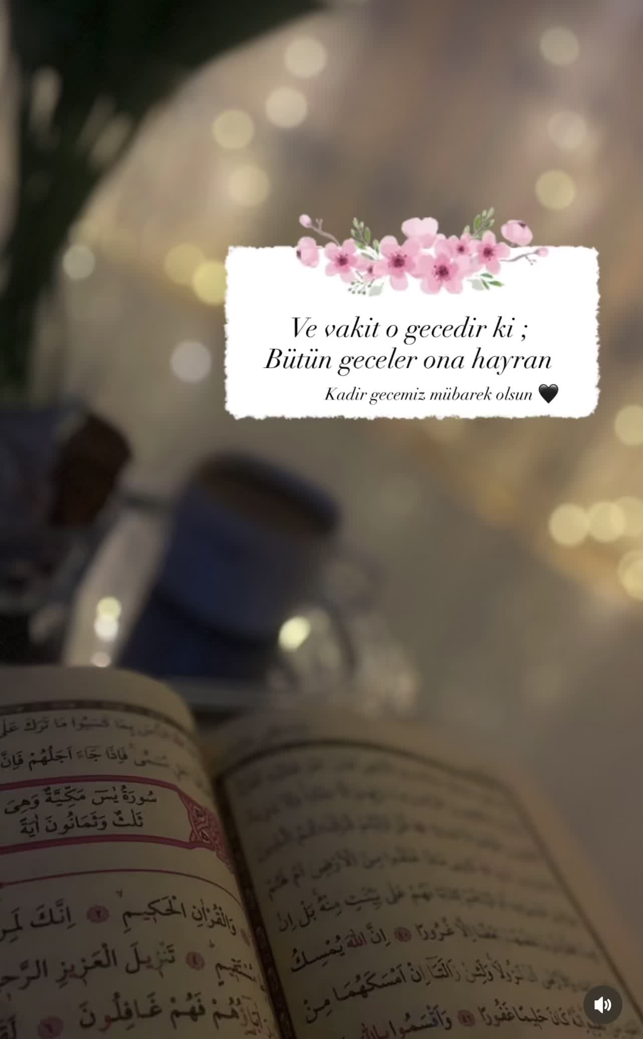 @ruh_tamiri  🍃🌹