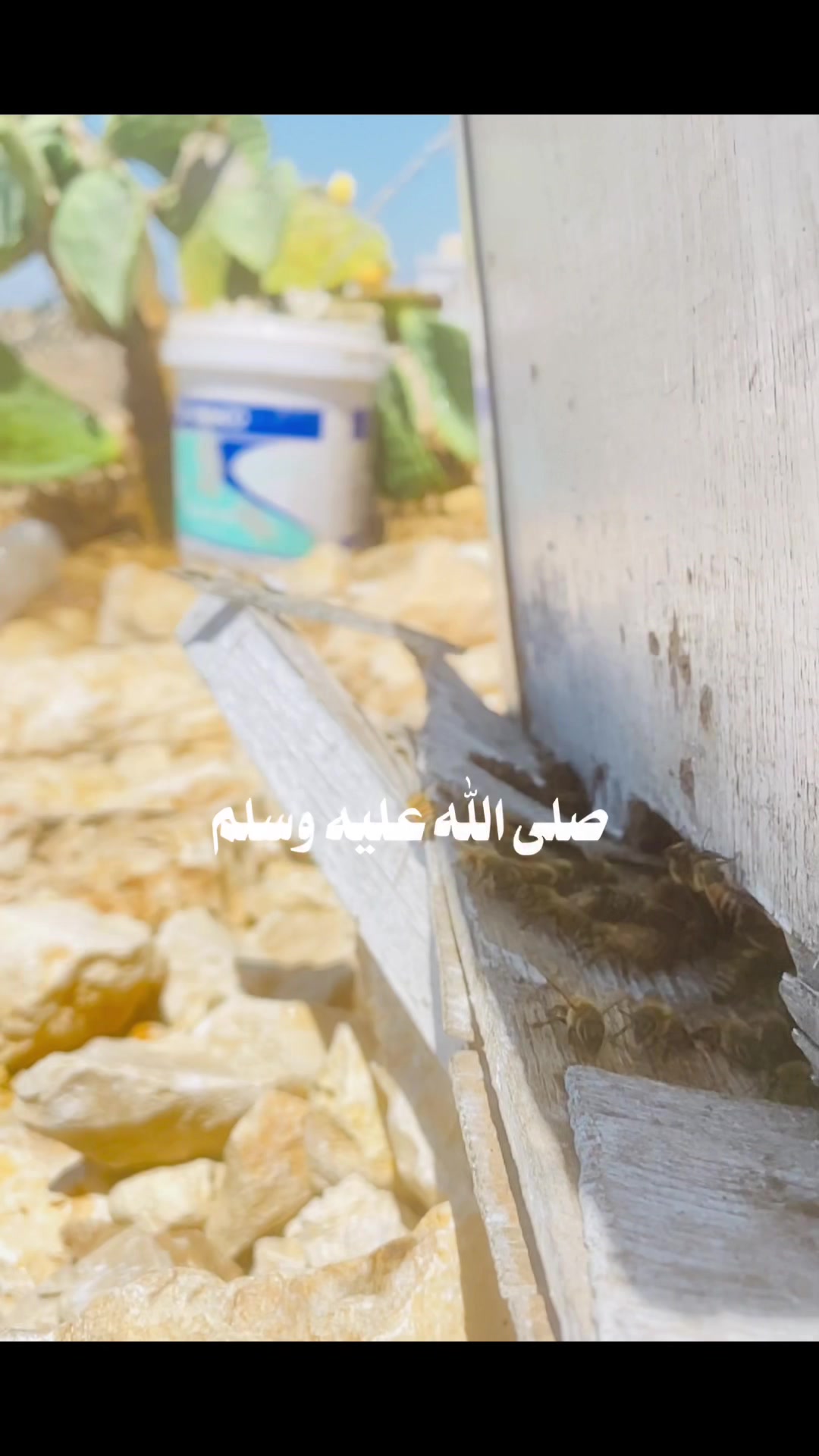 @مناحل عبد الرحمن للعسل