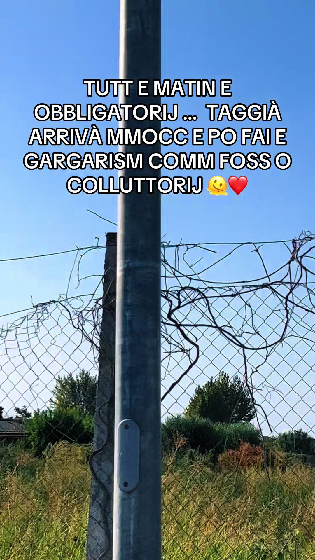 @Boccaccio19💙