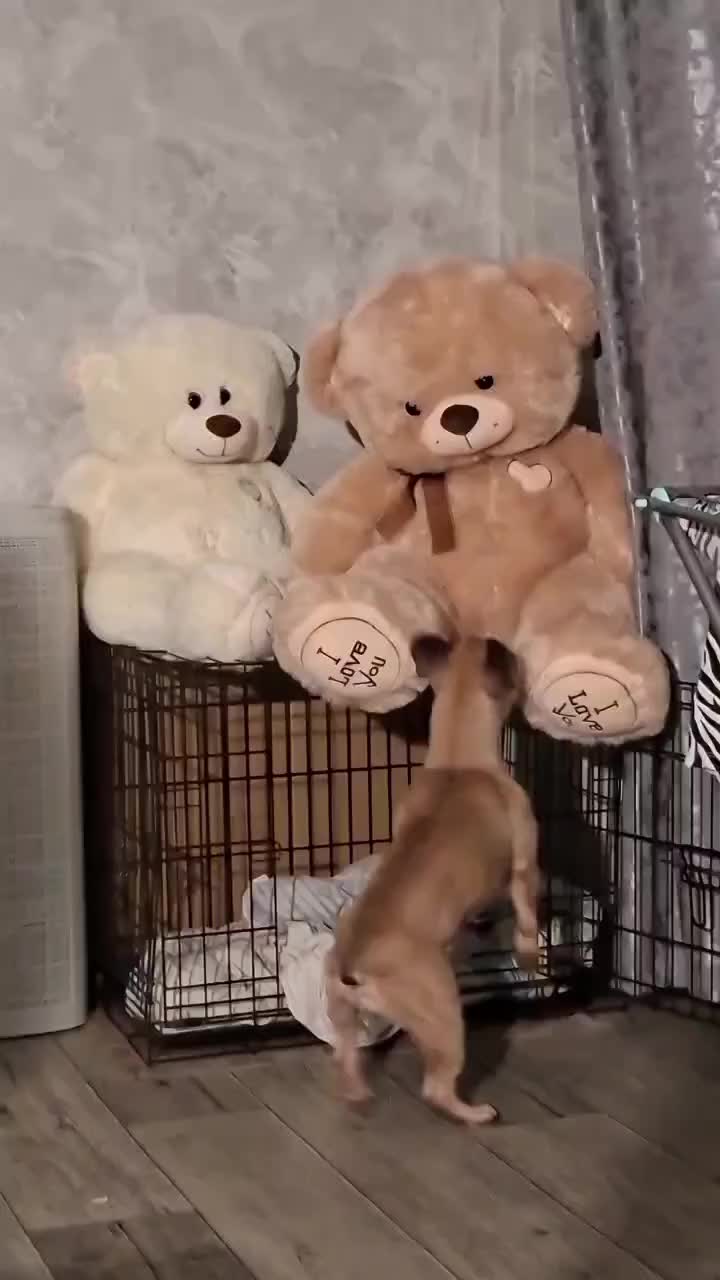 @Катрина