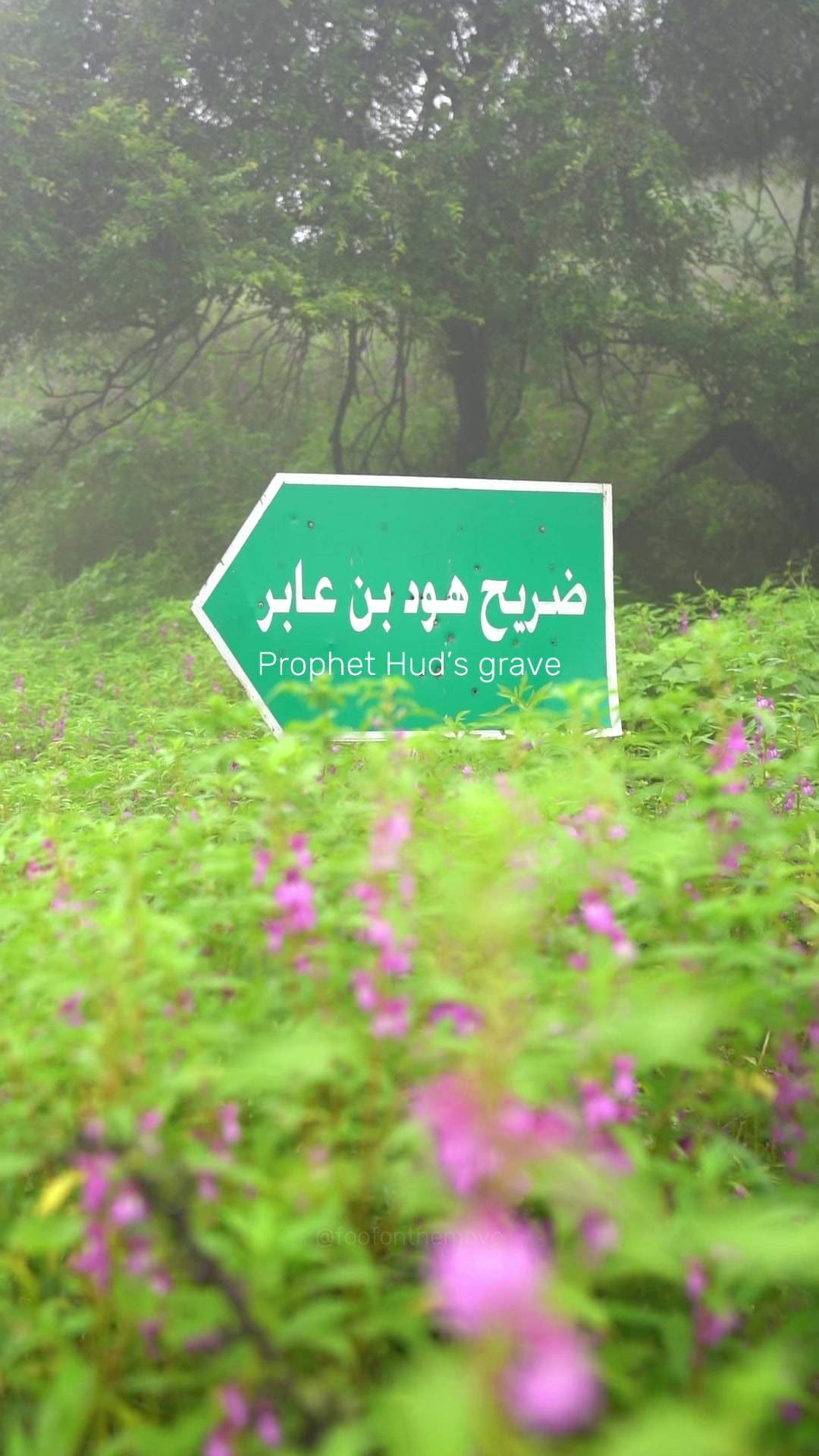 @Wafaa