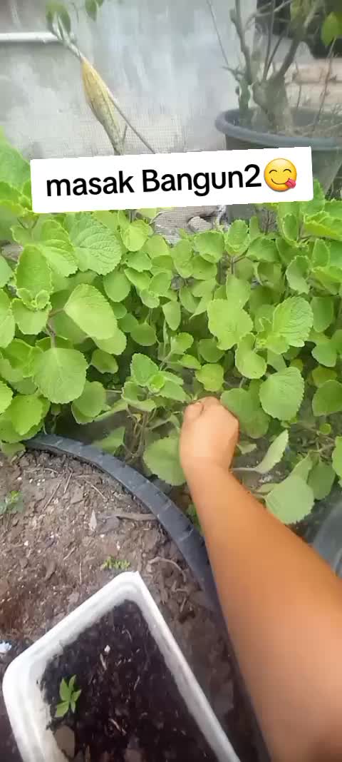 @Rita Wati Simarmata