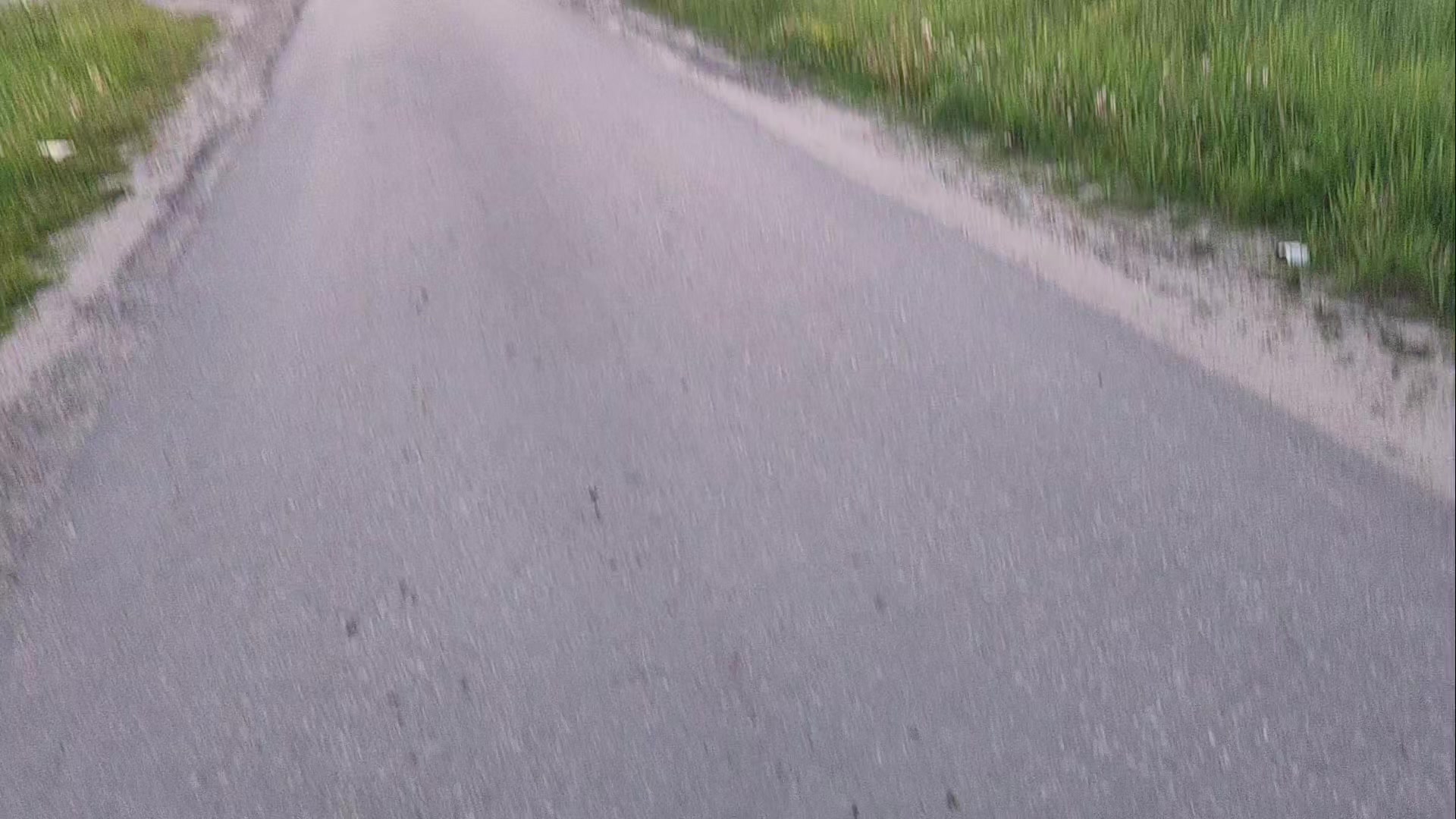 @nature