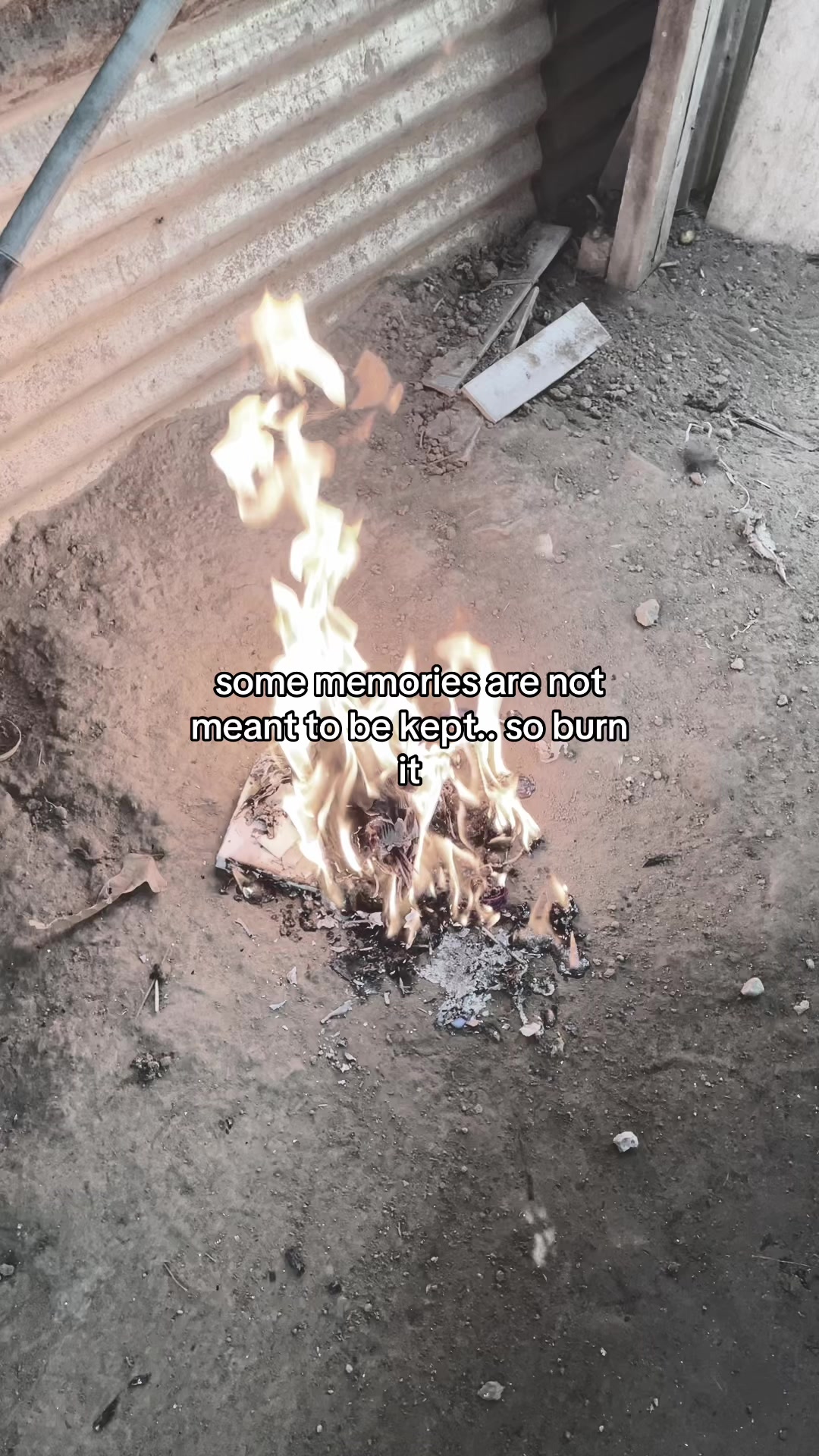 @Shaii_