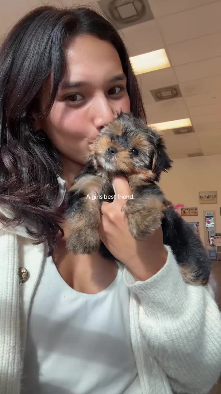 @Paradise Puppies🐶