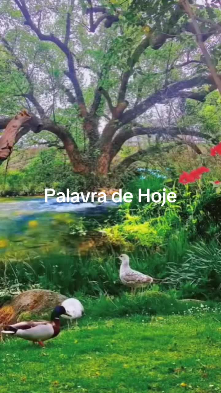 @Marina da silva