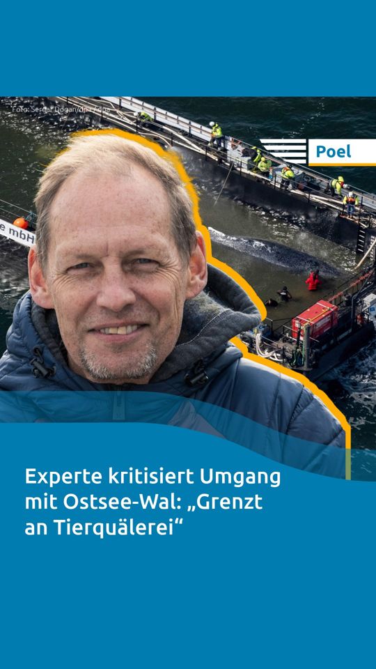 @Nordkurier