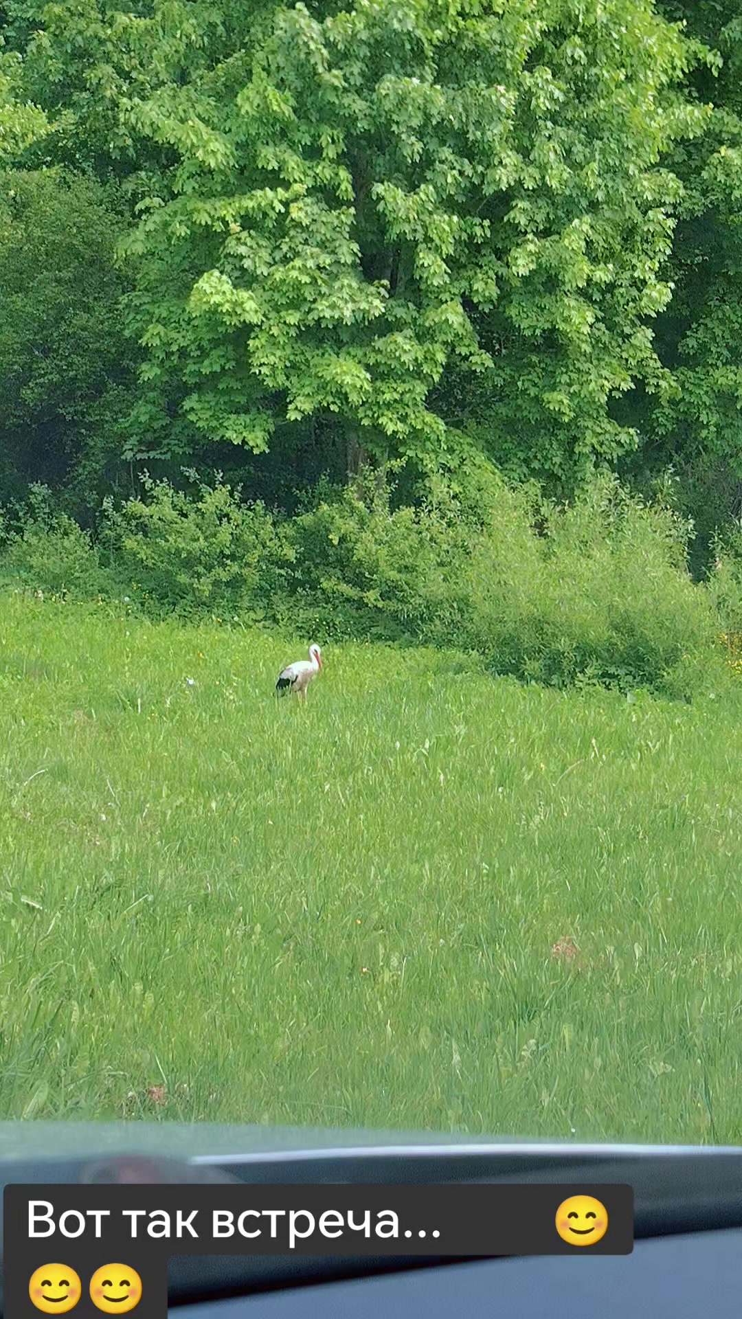 @Инна_🇧🇾🇧🇾🇧🇾_