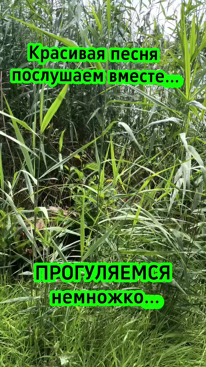 @Женя Нарочная