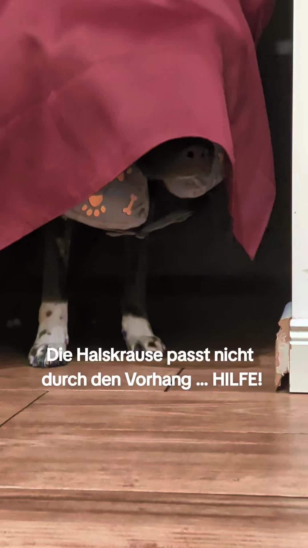 @DerJokerUndSeineFreunde