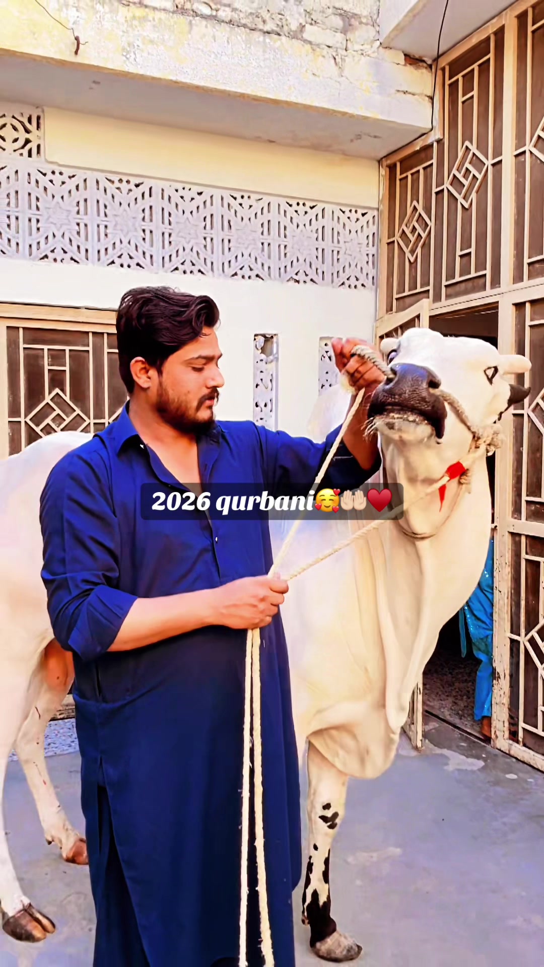 @نبیل راجپوت🔥