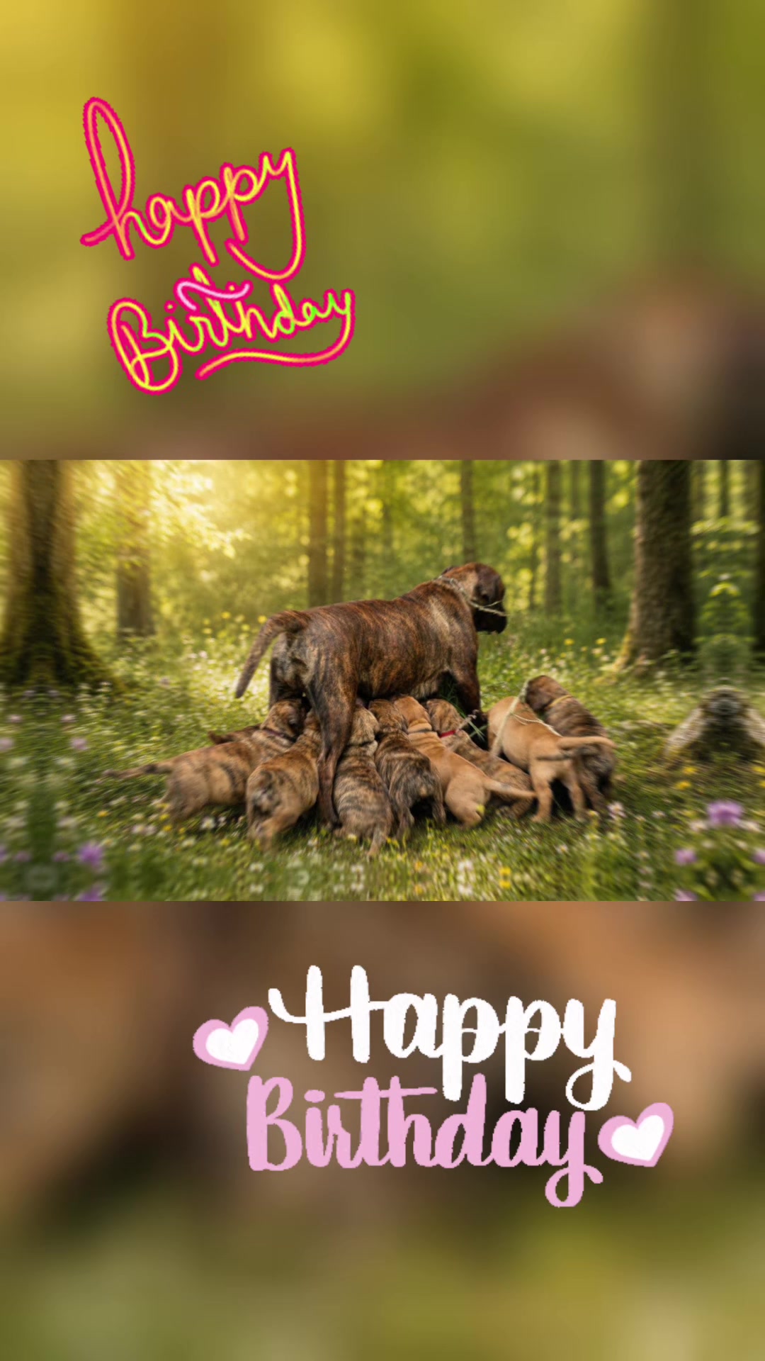 @𝑨𝒏𝒊 🐾 🇩🇪 🦅ᶜʳʸᵖᵉ