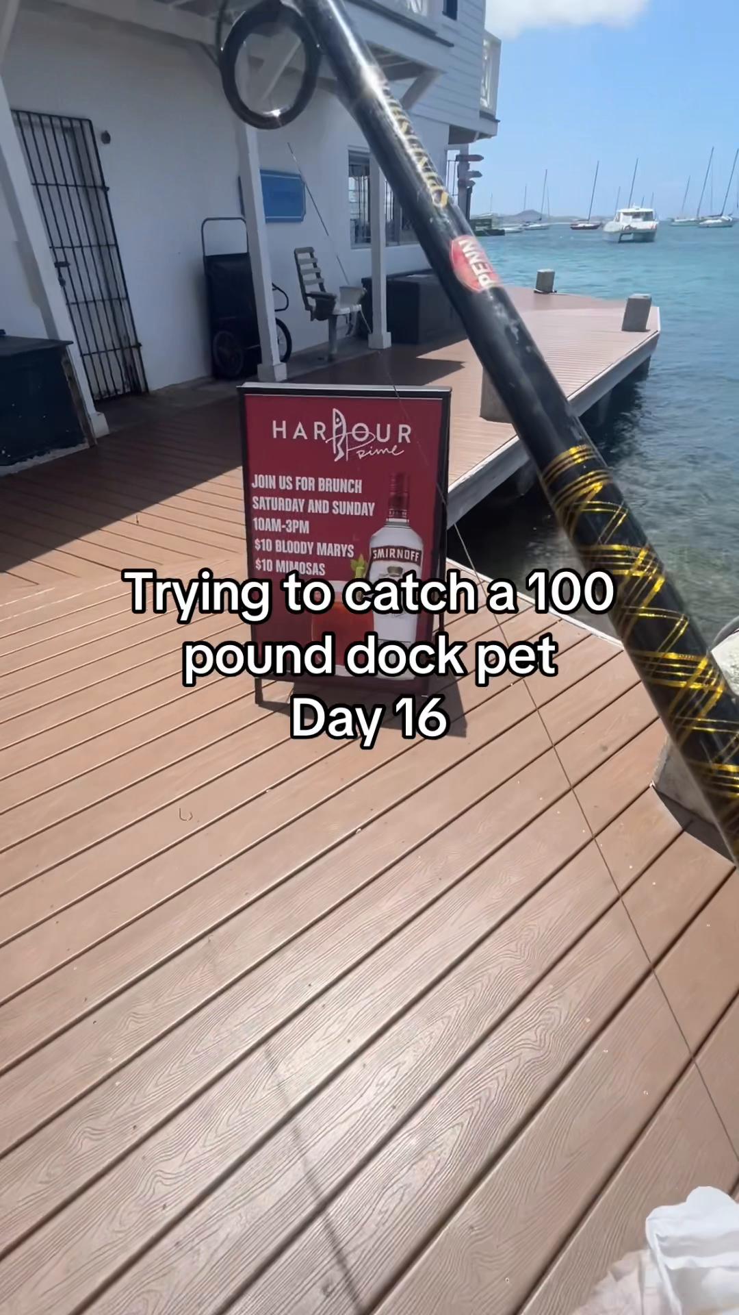 @Sandy’s bait & tackle