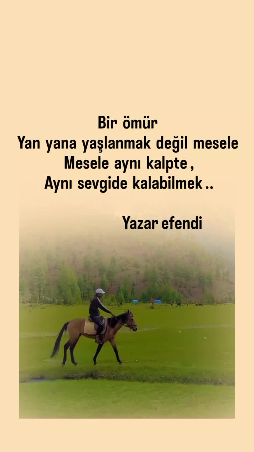 @YAZAR EFENDİ 📚📚