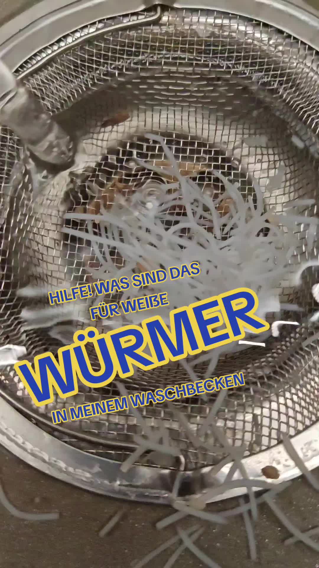 @WEITERLEITEN