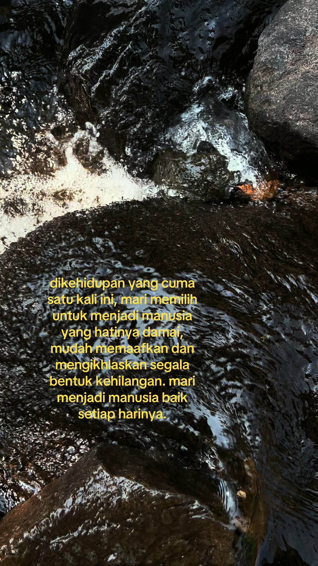 @artupp.