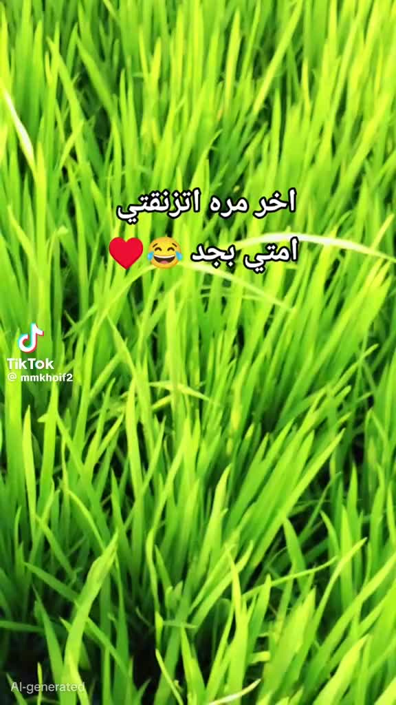 @💃💃💃الروقان 🕺💃💃💃