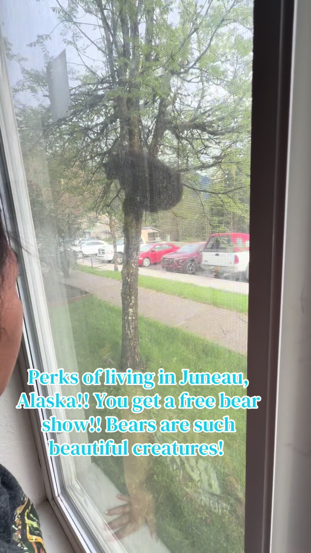@jannjohnny