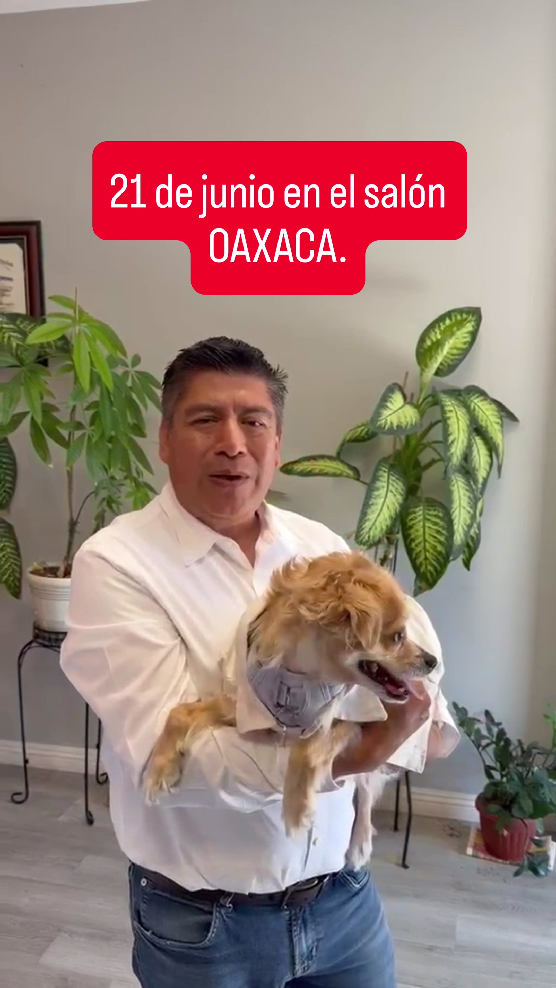 @SonajeroPachanguero