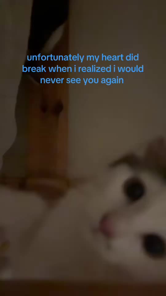 @sarahvrhn