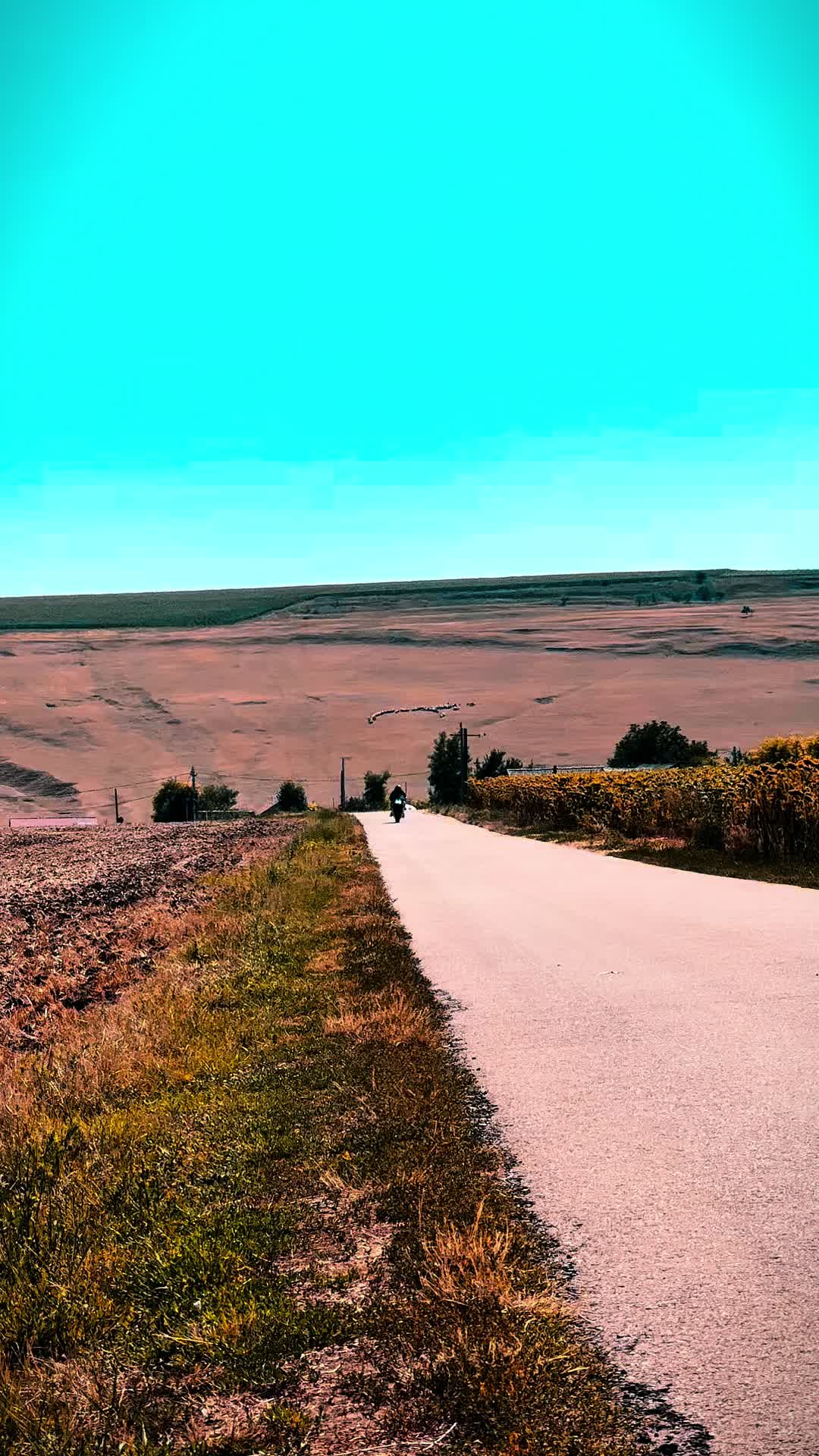 @Andreiii