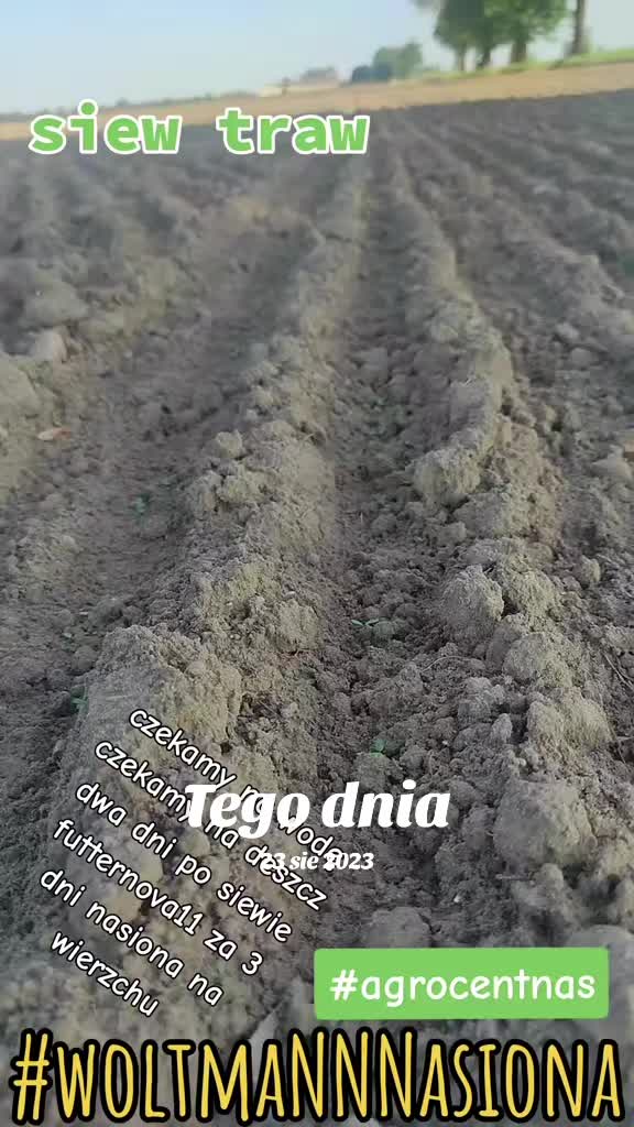 @WOLTMANNNASIONA