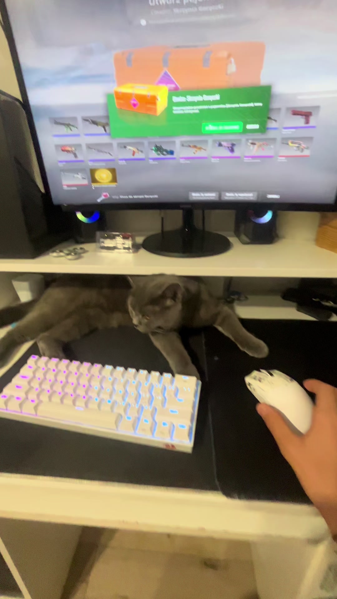 @Grafi🐱