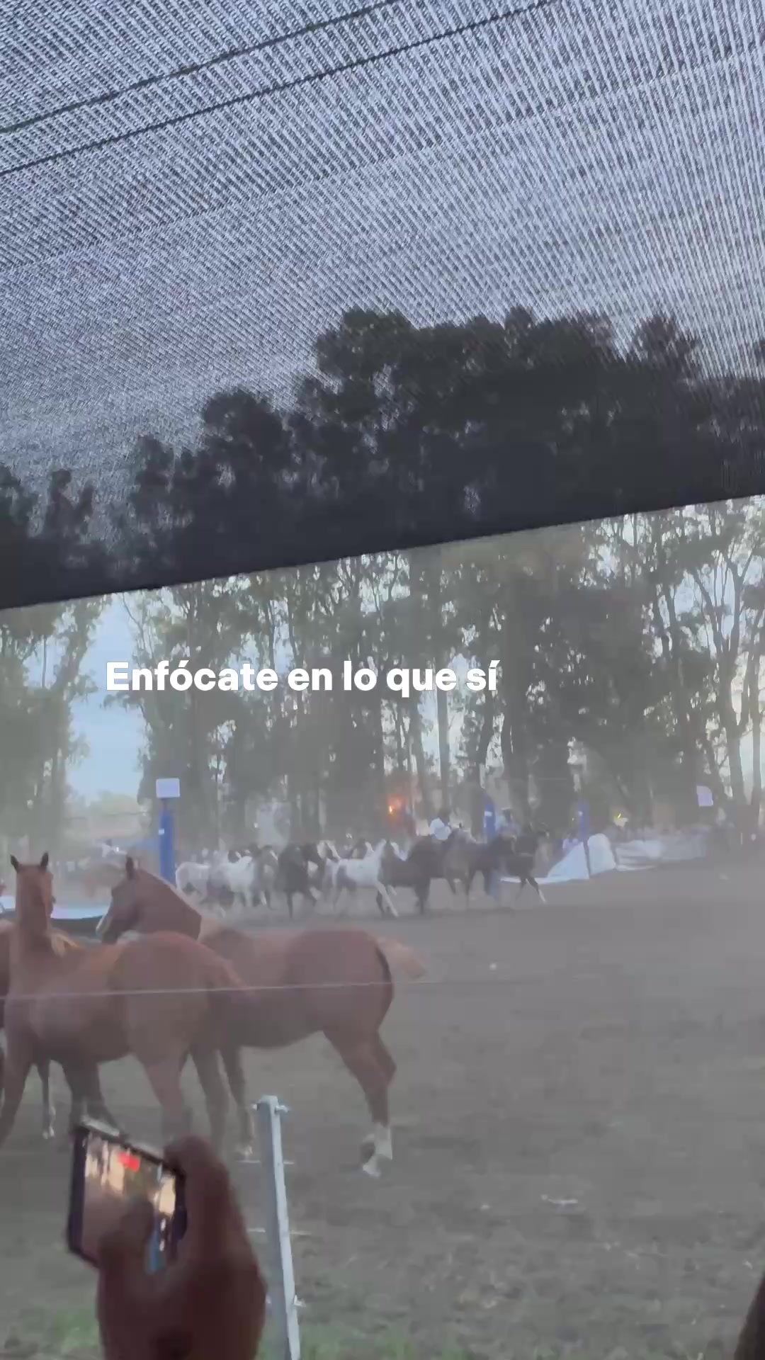 @Martii Brun