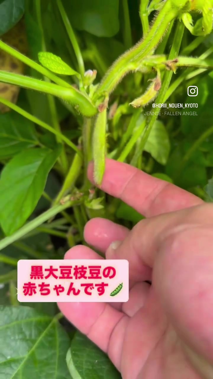 @堀井農園