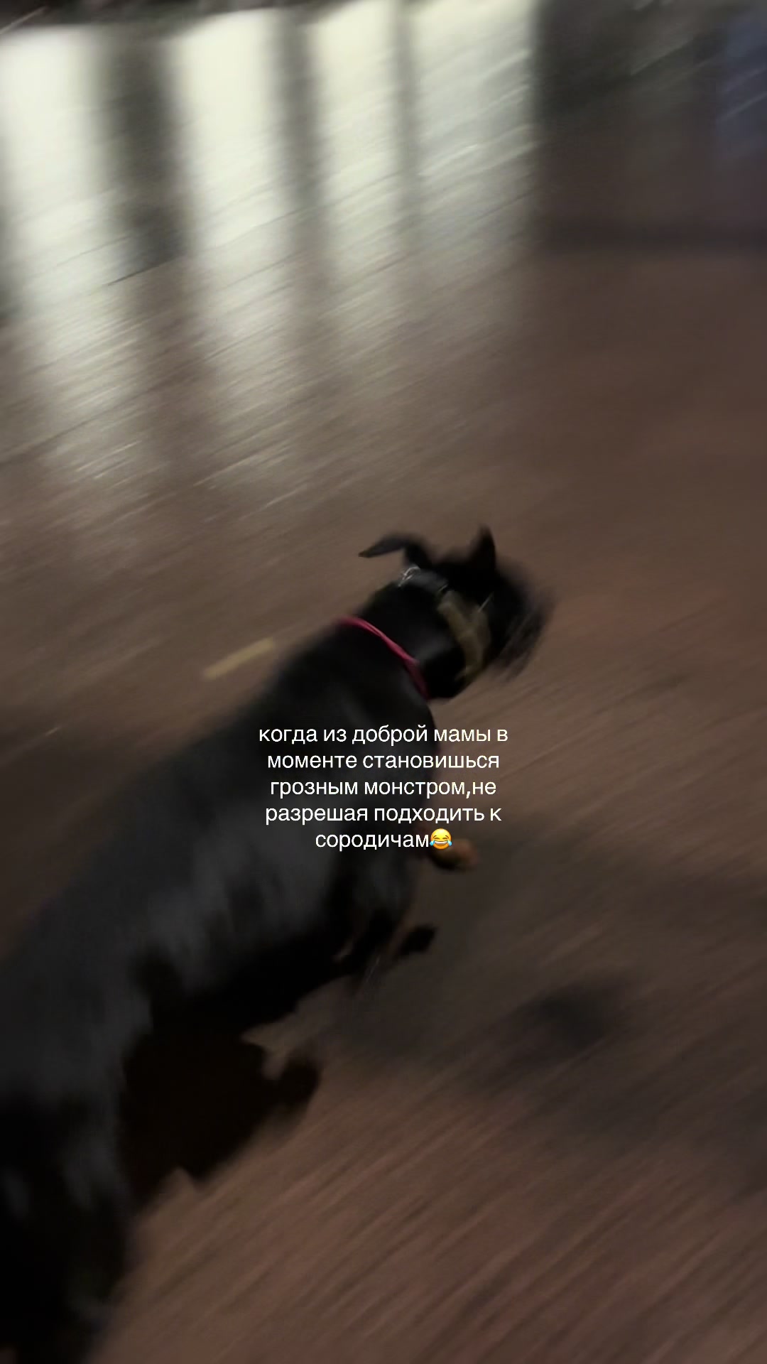 @‼️тг: grandorf‼️