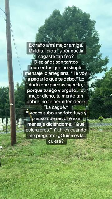 @Xiomi91