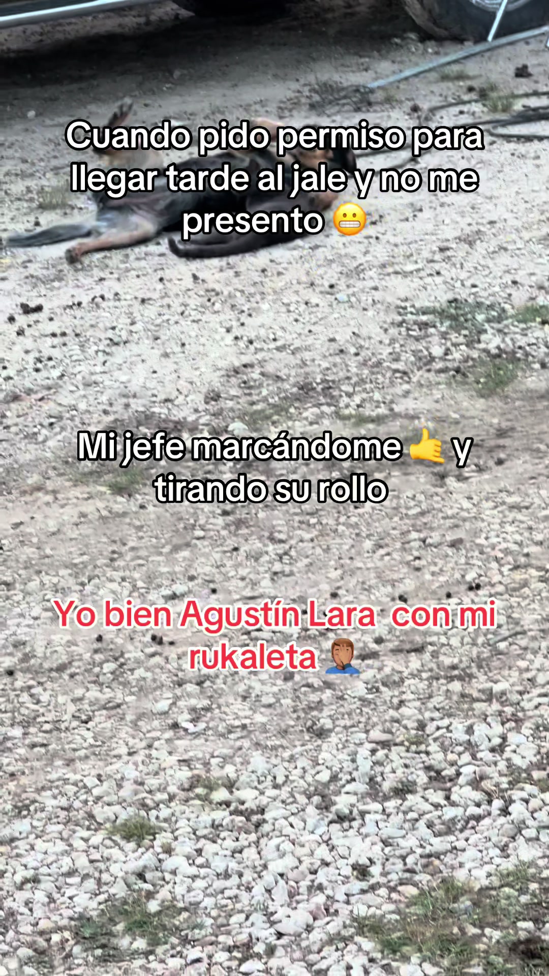 @FernandiTo ReynO