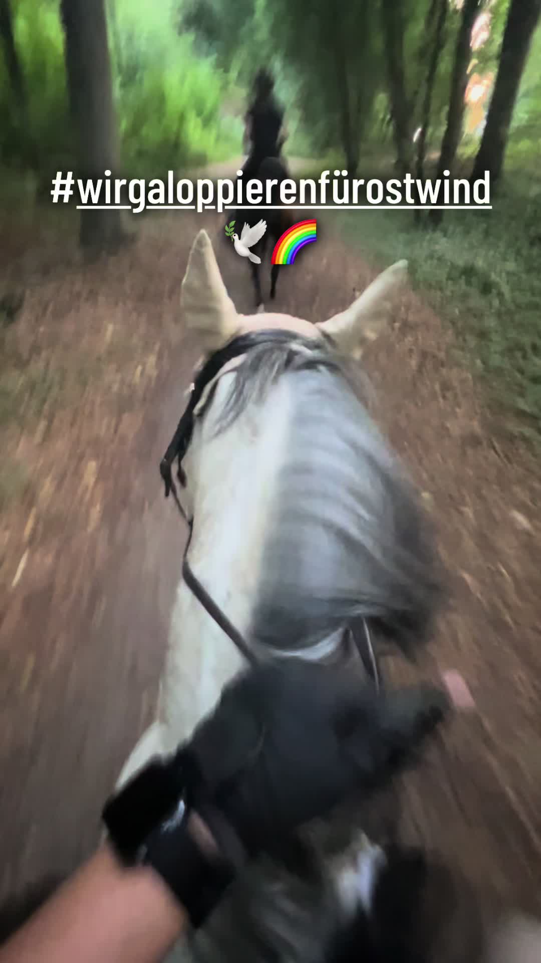 @Romy🐕🐎