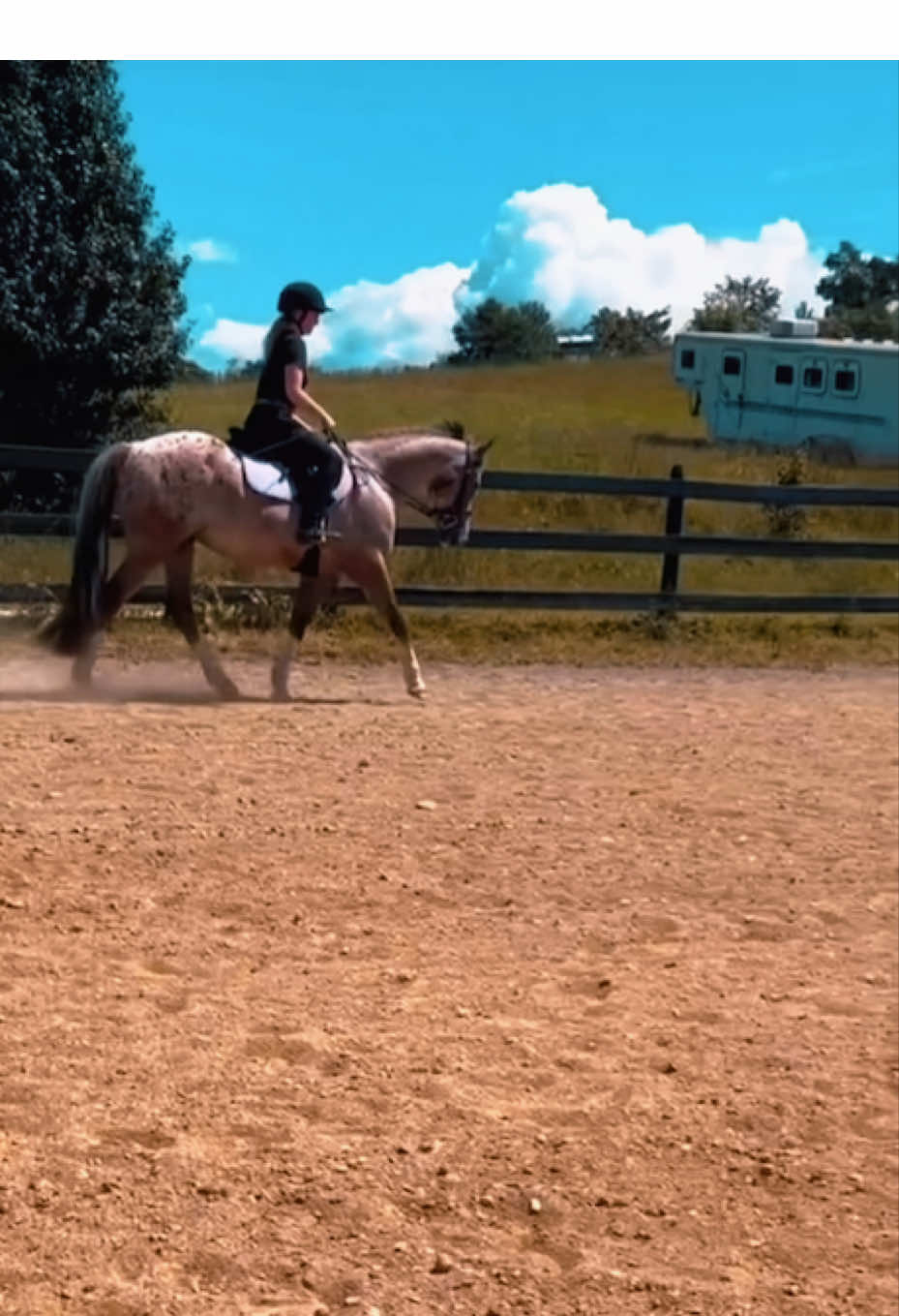 @Equestrian 🐴🐎