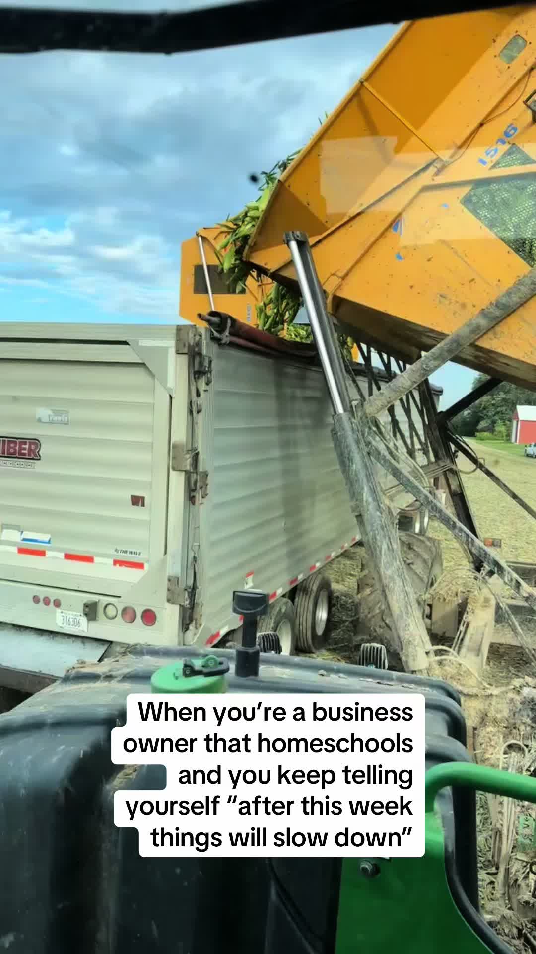 @Amber