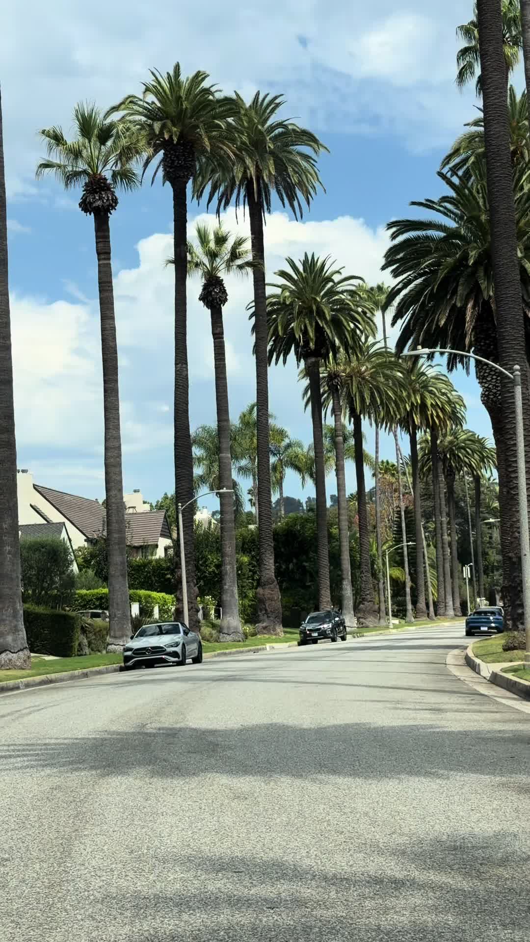 @@onlyin.la