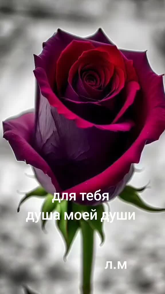 @🇬🇪🇮🇹Lasha Лаша ლაშა🇮🇹