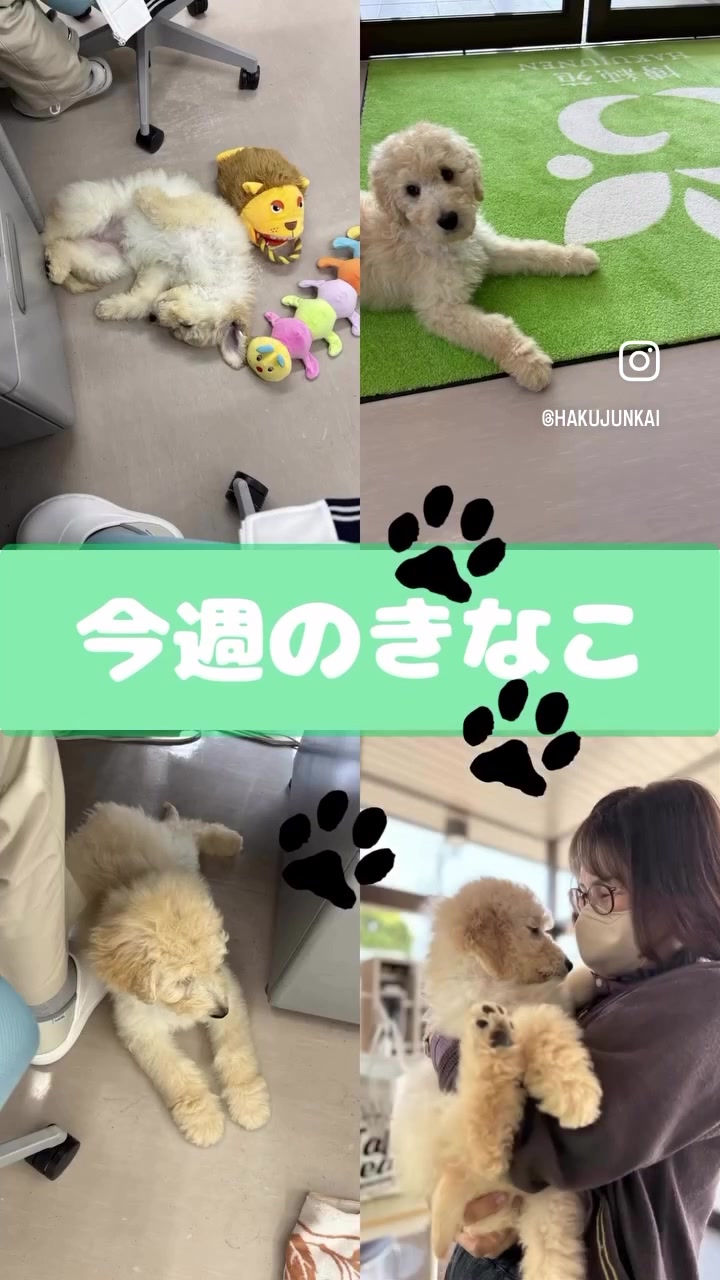 @博順会　博純苑