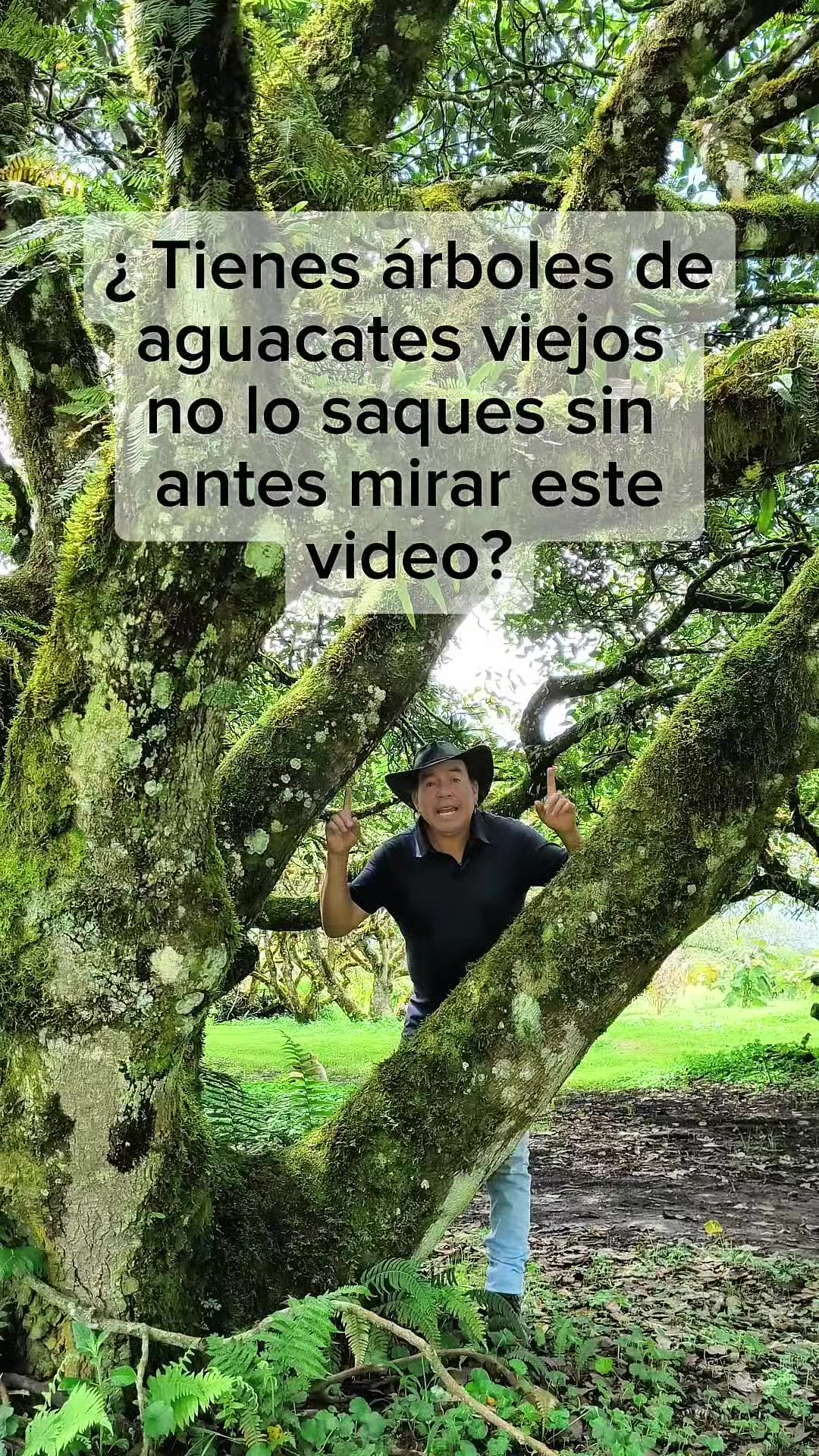@tour del aguacate